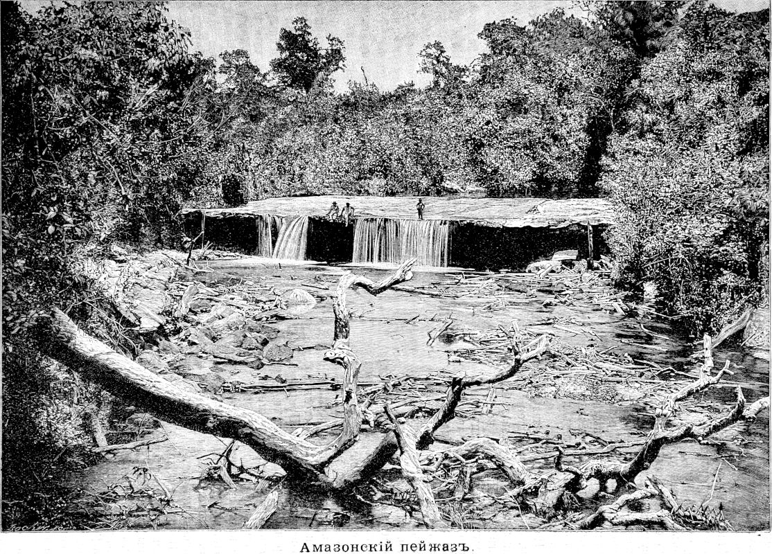 097 Амазонский пейзаж